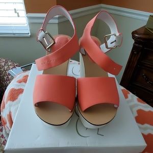 Coral Wedges Platform